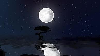 水面夜景月亮倒影视频的预览图